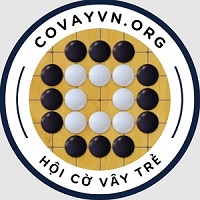 Covayvn org